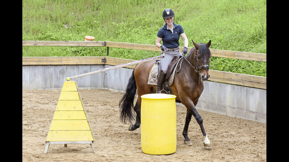 Allround-Training