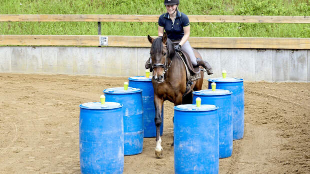 Allround-Training