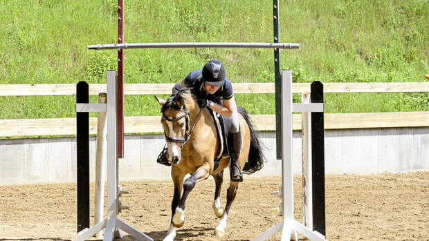 Allround-Training