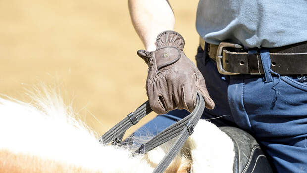 Allround-Training