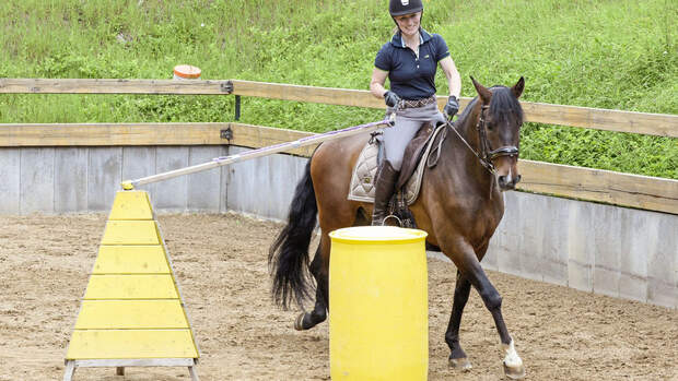 Allround-Training