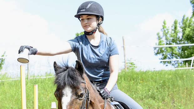 Allround-Training