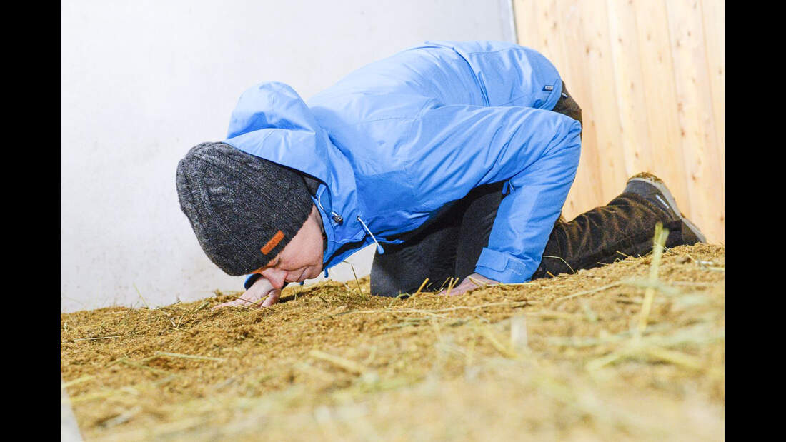 Ammoniak im Stall