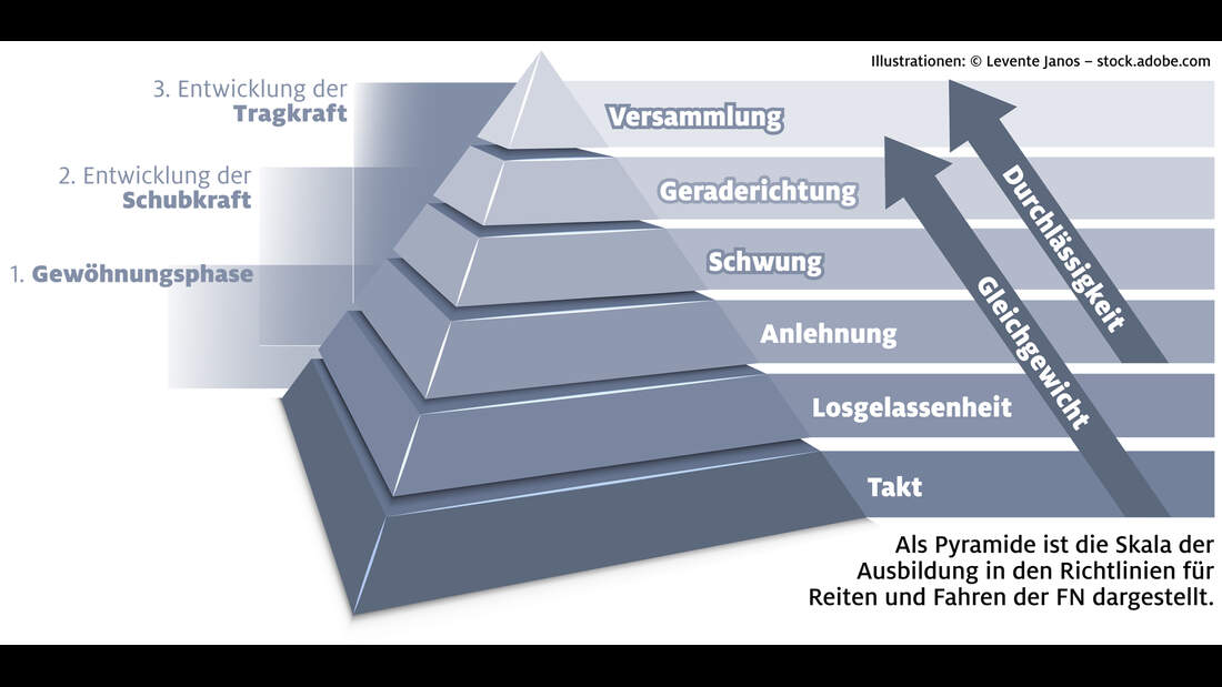 Ausbildungsskala Versammlung