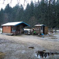 CA Reitschultest 0606 Chrissys Ranch3 (jpg)