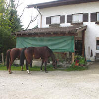 CA Reitschultest 1206 Ihlingshof2 (jpg)
