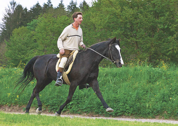 CAV 01_2010_Wie alt ist mein Pferd_01 (jpg)