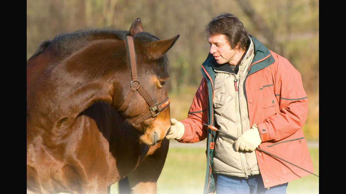CAV 0108 Gurutest - Gorgi mit Pferd