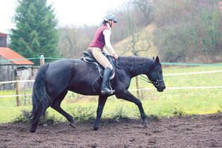 CAV_0108_zuegellahmheit_5_Bild3