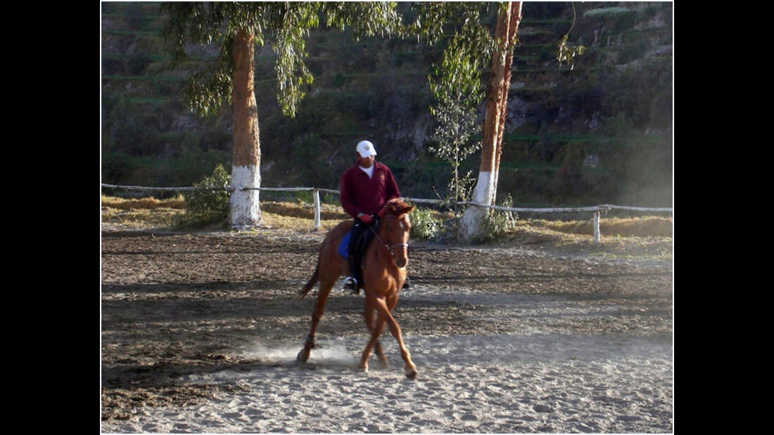 CAV 0111 Peru_13 (jpg)