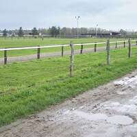 CAV_0111_Reitschultest_Schleuner-5 (jpg)