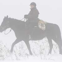 CAV 0111 Sauwetterritt_LIR7915 (jpg)