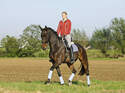 CAV-0112-Medizin-News-Ausritt-Winter-Fruehling (jpg)