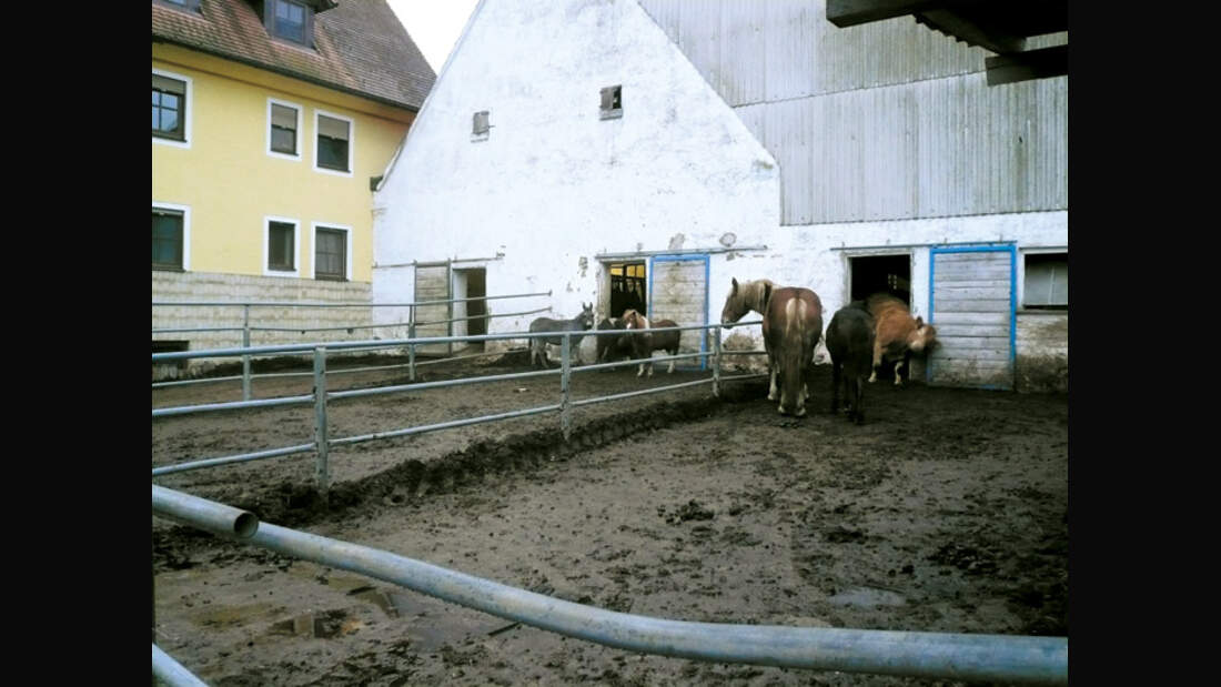 CAV 0207 Reitschultest altmuehlsee2 (jpg)