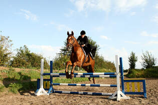 CAV 0210 Damensattel reiten 1