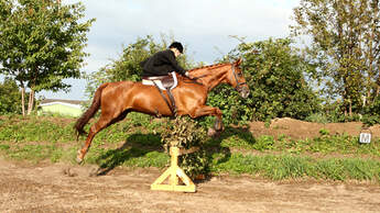 CAV 0210 Damensattel reiten 10