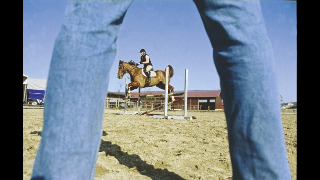 CAV 0210 Pferd Pur Kaufvertrag_01