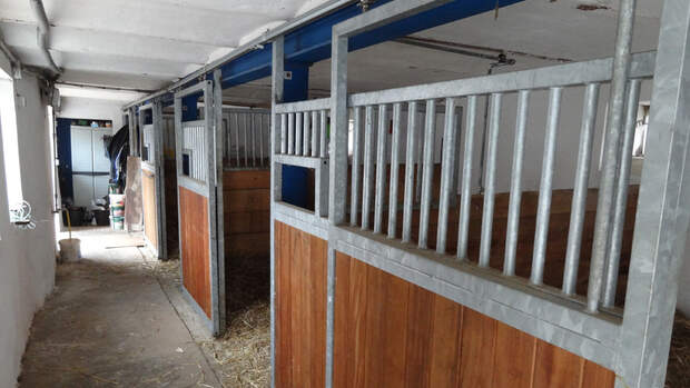 CAV-0212-Reitschultest-Hessen-Indian-Sky-Ranch-Boxen (jpg)