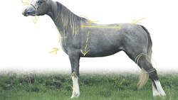 CAV 0303 Exterieur_05 (jpg)