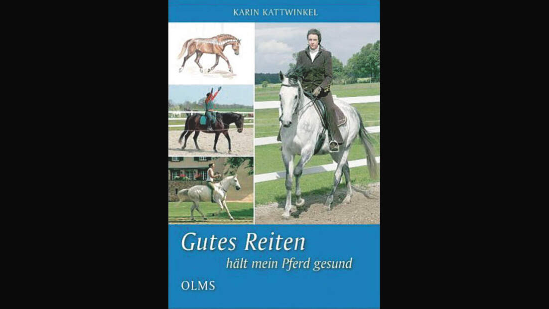 CAV_0310_Lust_auf_Lesen_02 (jpg)