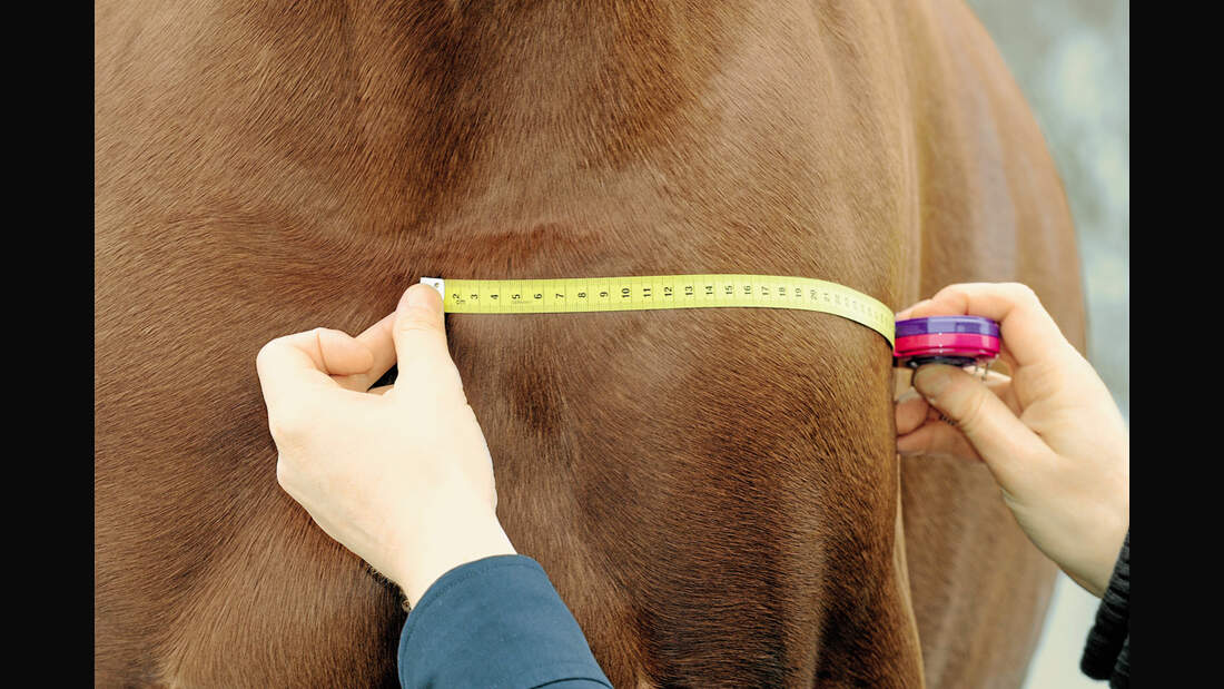 CAV 0311 Abschwitzdecken Abschwitzdecken-Test_K_LIR4996 (jpg)