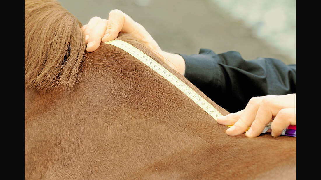 CAV 0311 Abschwitzdecken Abschwitzdecken-Test_K_LIR5006 (jpg)