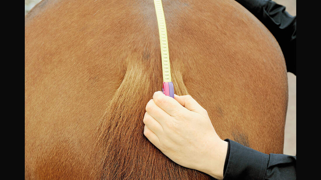 CAV 0311 Abschwitzdecken Abschwitzdecken-Test_K_LIR5009 (jpg)