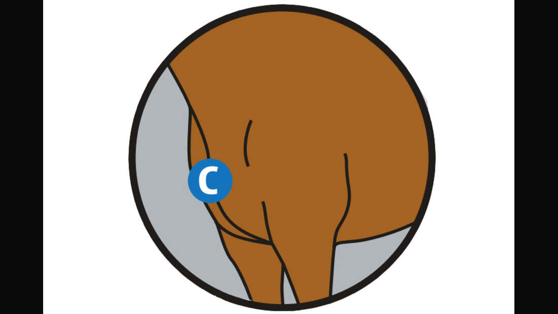 CAV 0311 Abschwitzdecken Abschwitzdecken-Test_Vermessen_C (jpg)