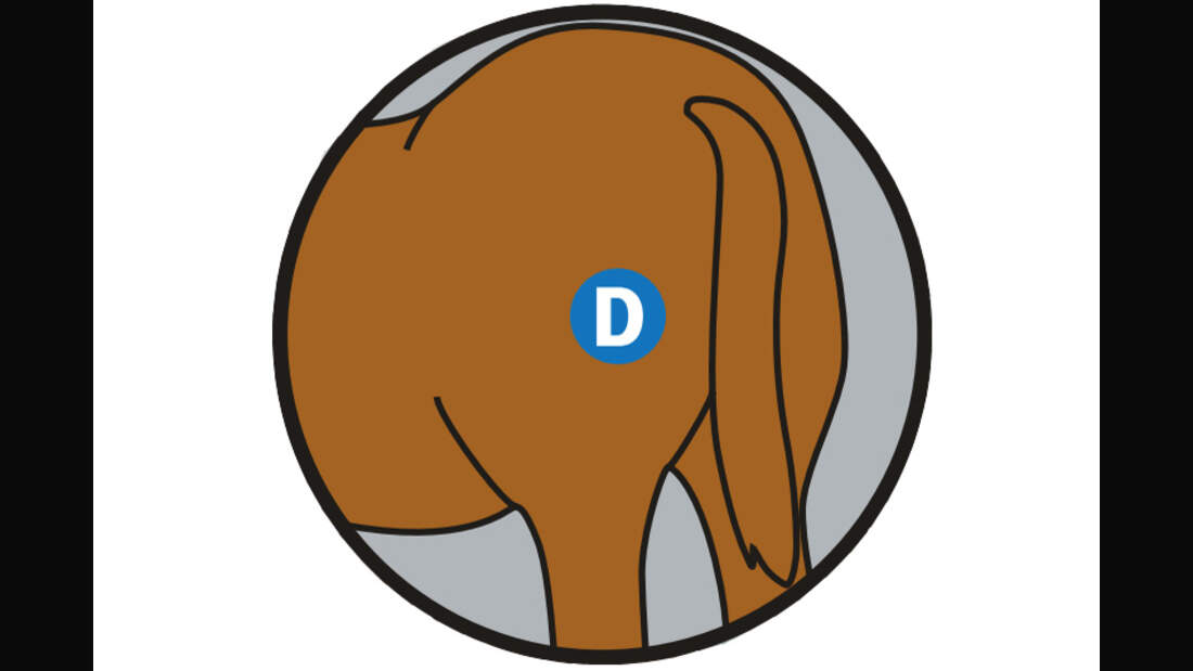 CAV 0311 Abschwitzdecken Abschwitzdecken-Test_Vermessen_D (jpg)