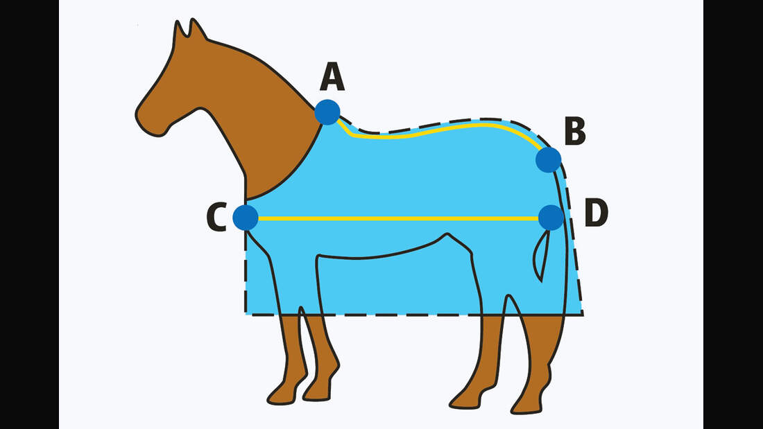 CAV 0311 Abschwitzdecken Abschwitzdecken-Test_Vermessen_Schema_w