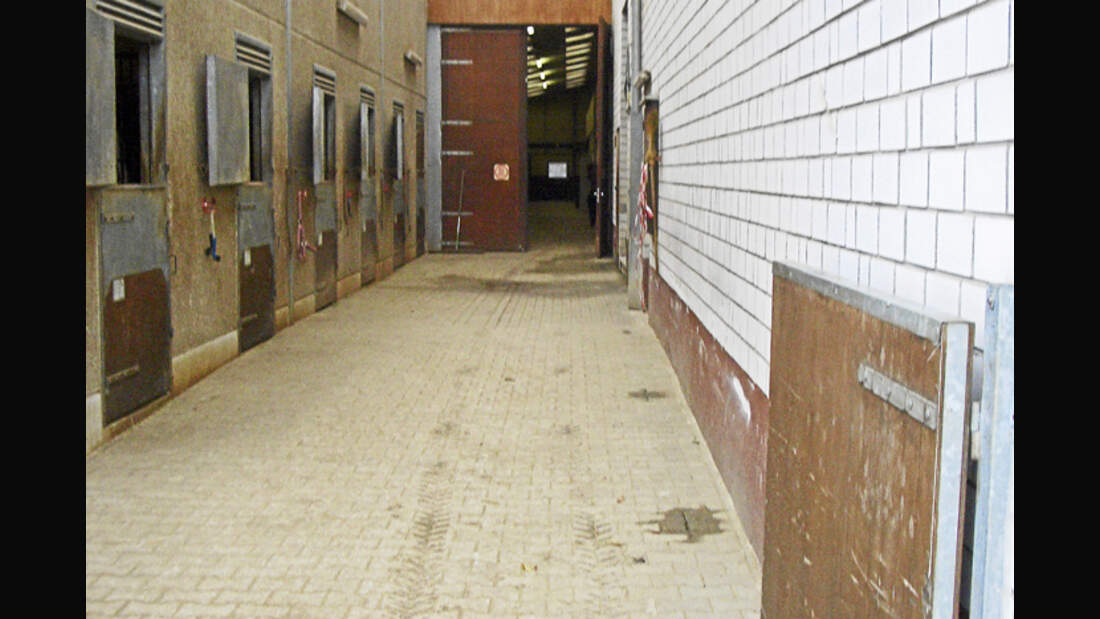 CAV-0312-Reitschultest-Eller-Stall (jpg)