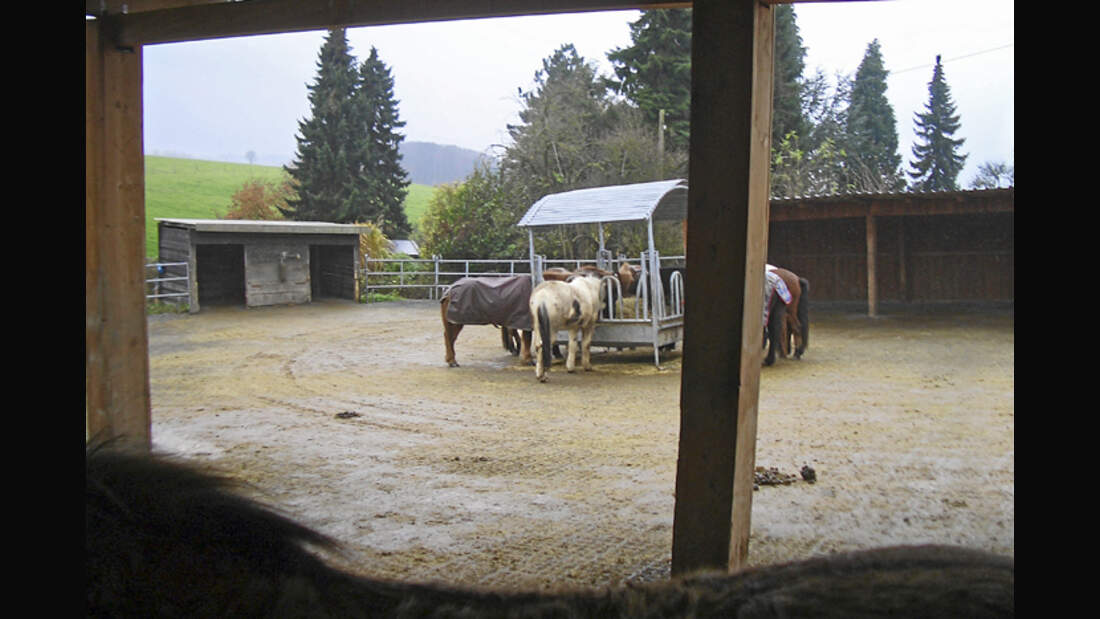 CAV-0312-Reitschultest-Meiersberg-Hof (jpg)