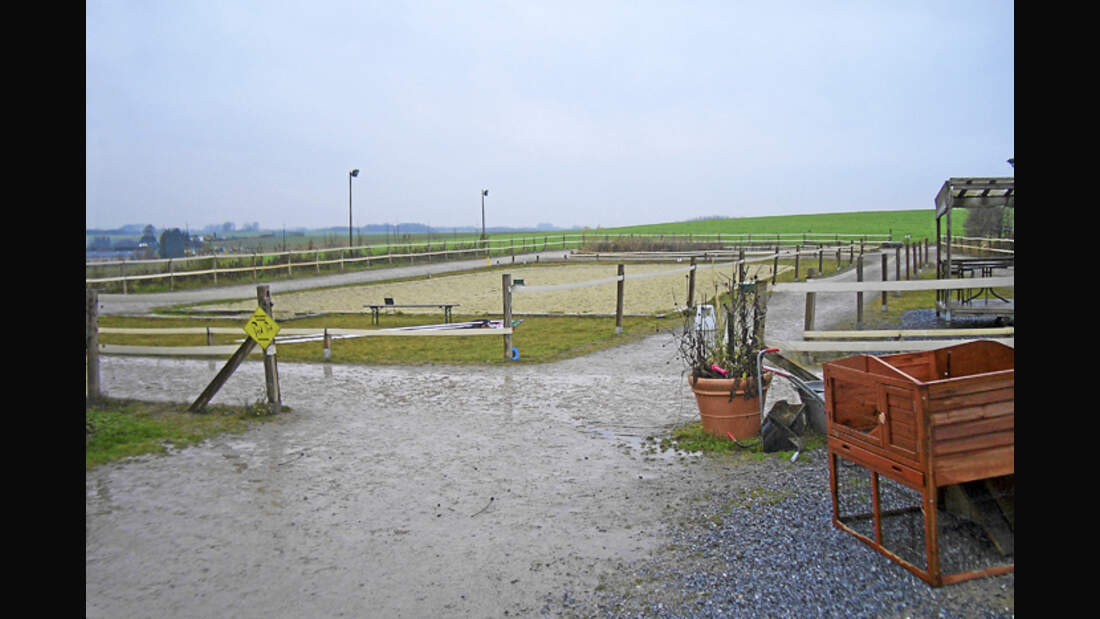 CAV-0312-Reitschultest-Meiersberg-reitplatz (jpg)