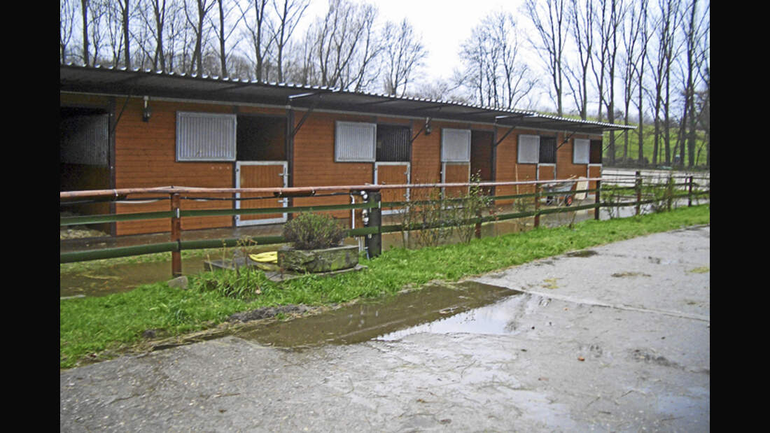 CAV-0312-Reitschultest-Pabsthof-außen (jpg)