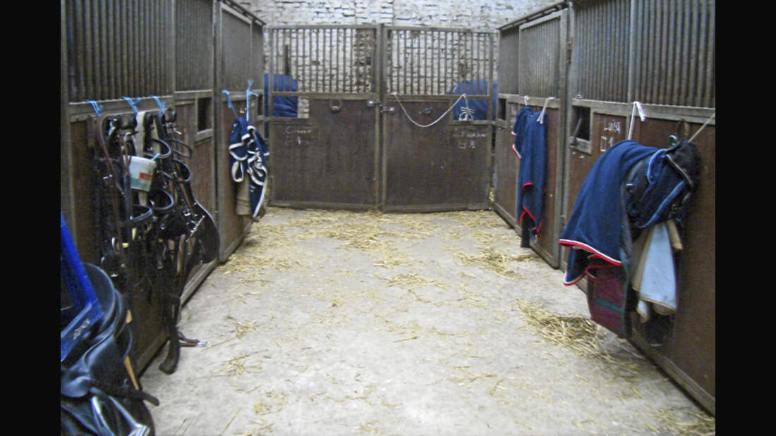 CAV-0312-Reitschultest-Pabsthof-innen (jpg)