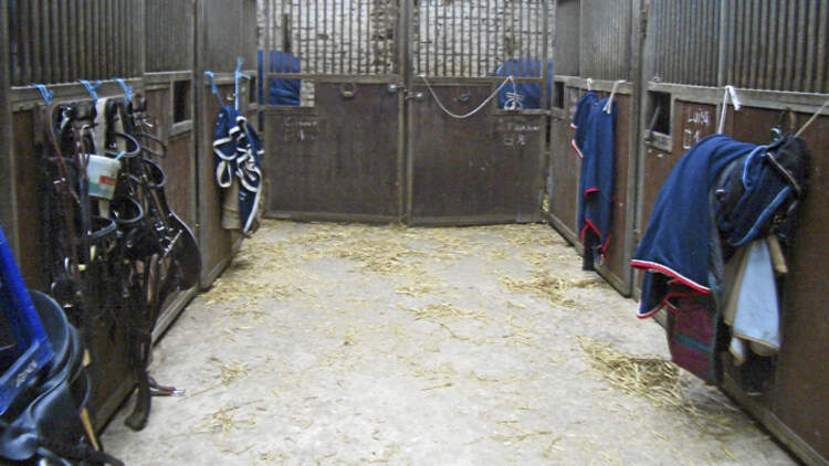 CAV-0312-Reitschultest-Pabsthof-innen (jpg)