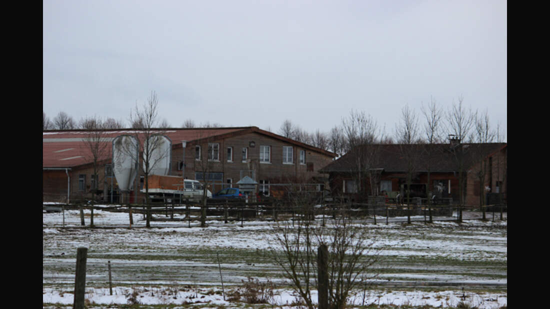 CAV-0313-Reitschultest-Gestuet-Wangenheim-2 (jpg)