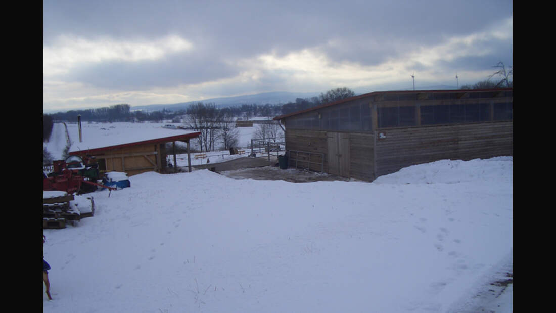 CAV-0313-Reitschultest-Islandpferdehof-Domaene-1 (jpg)