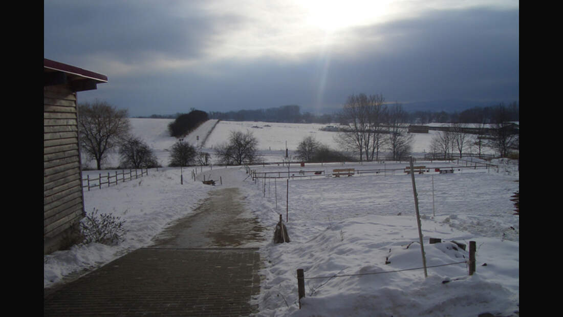 CAV-0313-Reitschultest-Islandpferdehof-Domaene-2 (jpg)