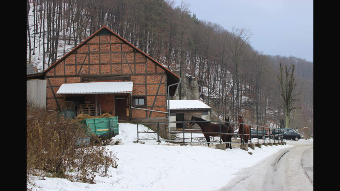 CAV-0313-Reitschultest-Zella-2 (jpg)