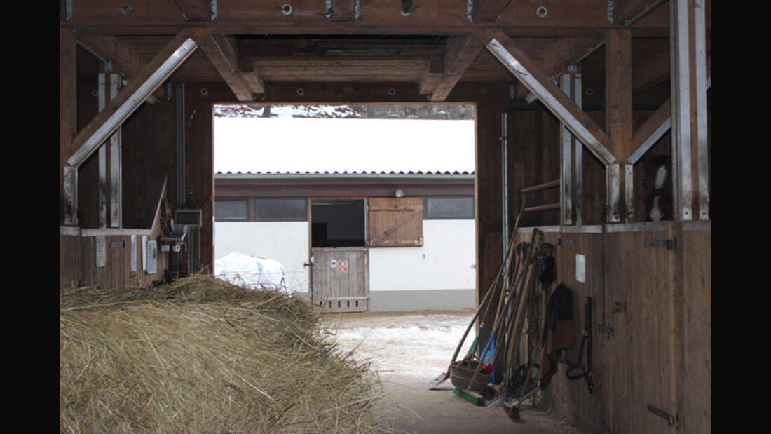 CAV-0313-Reitschultest-Zella-3 (jpg)