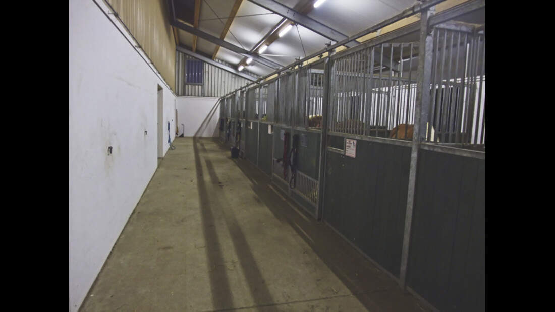 CAV_0410_Reitschultest_AK-Westerntraining_2 (jpg)