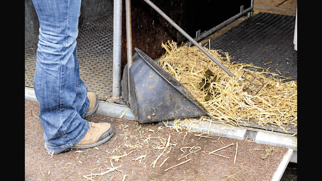 CAV_0411_Haengerboeden_Checkliste_LIR7178 (jpg)