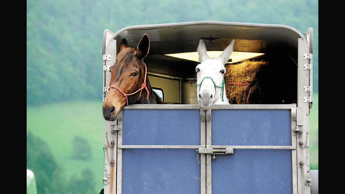 CAV_0411_Haengerboeden_LIR9505 (jpg)