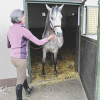 CAV_05_2010_MS_Verladen_Schwahlen_Box3_LIR1416 (jpg)