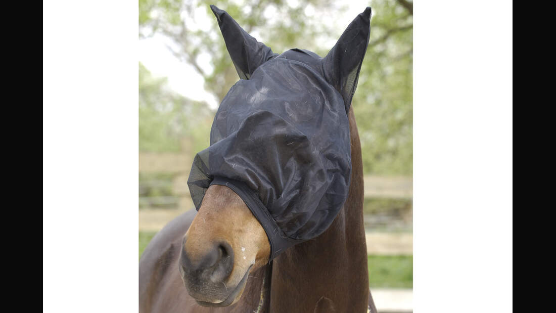 CAV_0611_Fliegenmuetzentest_USG (jpg)