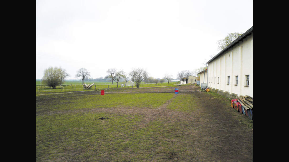 CAV 07/08 Reitschultest Wismarer Bucht