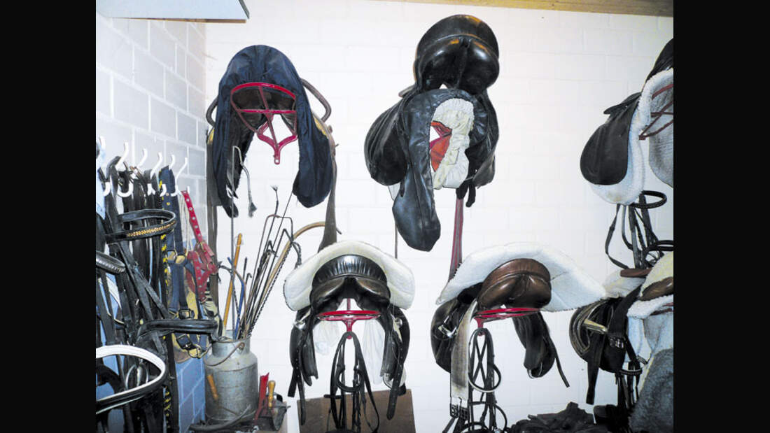 CAV 0708 RST Wismar c118_01 (10) (jpg)