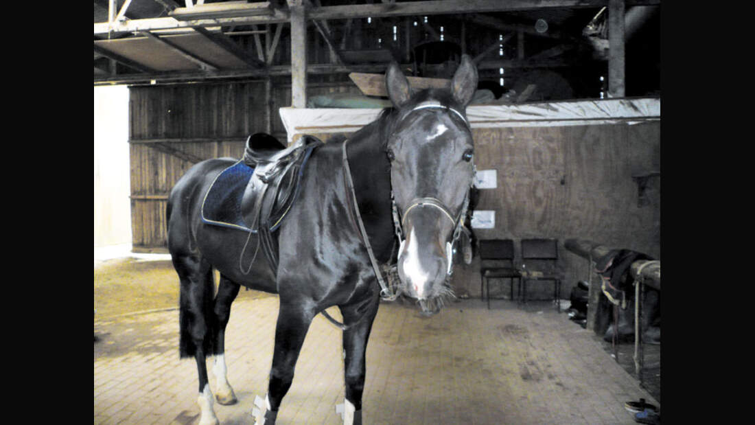 CAV 0708 RST Wismar c118_01 (14) (jpg)