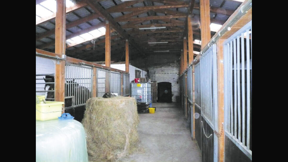 CAV 0708 RST Wismar c118_01 (8) (jpg)